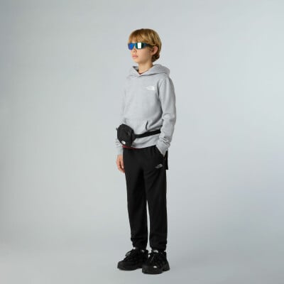 The North Face Simple Dome Hoodie