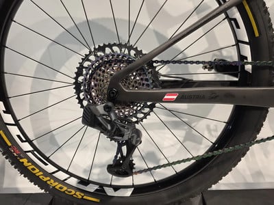 Detail eines Mountainbike-Hinterrads mit Kassette und Schaltwerk.