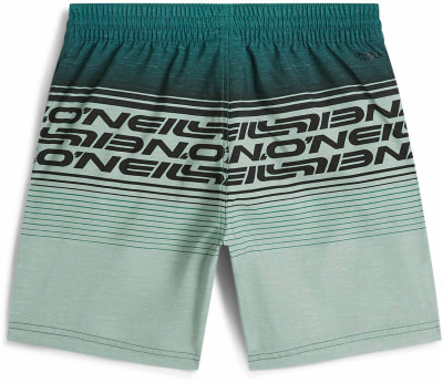 O'Neill Logo Stripe Badeshorts