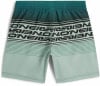 O'Neill Logo Stripe Badeshorts