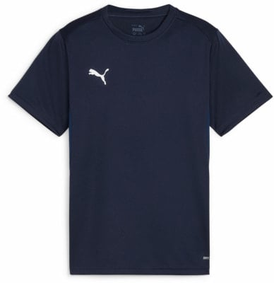 Puma teamGOAL Trainingsshirt