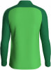 Grünes Langarmshirt für Herren mit kontrastierenden Ärmeln.