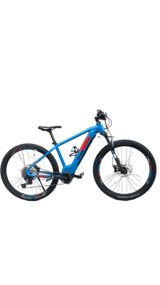 Genesis E-Pro MTB 2.2 LTD