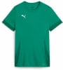 Puma teamGOAL Matchday Trainingsshirt
