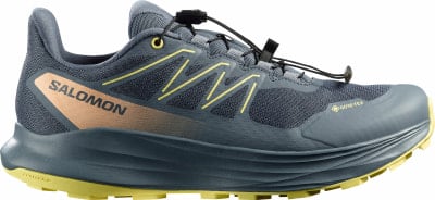 Salomon Alpharide 2 GTX Dám.běž.obuv UK velikosti Salomon Alpharide 2 GTX Dám.běž.obuv UK velikosti