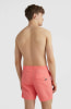 O'Neill Pm Vert Badeshorts