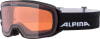 Alpina Nakiska QH Skibrille