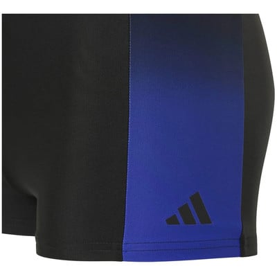 Černé plavky s modrým pruhem a logem Adidas. Černé plavky s modrým pruhem a logem Adidas.