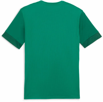 Puma teamGOAL Matchday T-Shirt