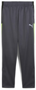 Puma IndividualLIGA Trainingshose