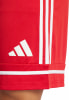 adidas SQUA25 SHO M Short AEROREADY