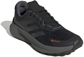 Terrex Soulstride Flow GTX Traillaufschuhe