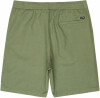 Billabong Larry Badeshorts