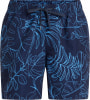 Firefly Ken IV Freeline Badeshorts