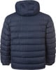 Rückansicht einer dunkelblauen Daunenjacke mit Kapuze und gestepptem Design.
