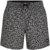 O'Neill Print Badeshorts
