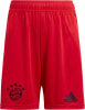 adidas FC Bayern München 24/25 Heimshorts