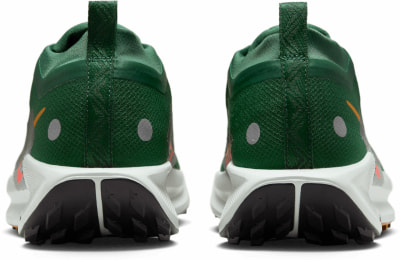 Nike Pegasus Trail 5 GTX Traillaufschuhe