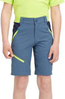 Brenton Wandershorts