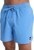 Quiksilver Everyday Flex Badeshort