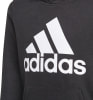 adidas Essentials Hoodie