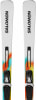 Salomon Addikt Pro 76 Race Alpinski