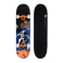 Explorate skateboard