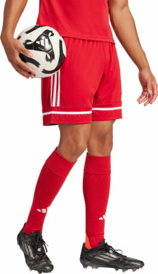 adidas SQUA25 SHO M Short AEROREADY