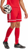adidas SQUA25 SHO M Short AEROREADY