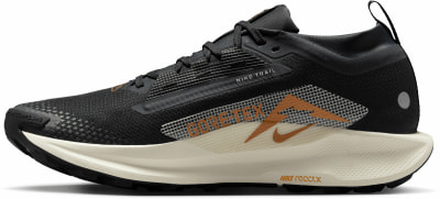 Nike Pegasus Trail 5 GTX Traillaufschuhe