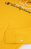Champion Hooded Sweat kapucnis felső Legacy