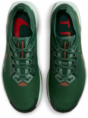 Nike Pegasus Trail 5 GTX Traillaufschuhe
