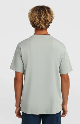 O'Neill Gradient T-Shirt 100%BW O'Neill Gradient T-Shirt 100%BW