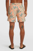 O'Neill Print Badeshorts
