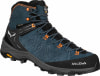 Salewa Alp Trainer 2 Mid GTX Trekkingschuhe