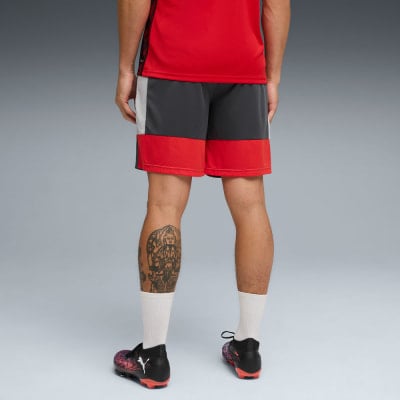 Puma IndividualLIGA Short