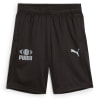 Puma Active Sports Poly Shorts