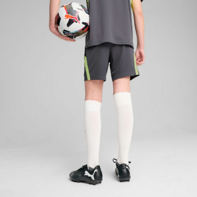 Puma IndividualFinal Trainingsshorts