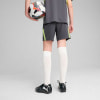 Puma IndividualFinal Trainingsshorts