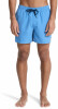 Quiksilver Solid Volley Badeshorts