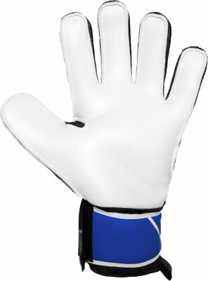 Pro Touch Rukavice pre brankárov Force 2000 PG