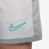 Nike Academy Dri-FIT Shorts