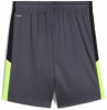 Puma IndividualFinal Trainingsshorts