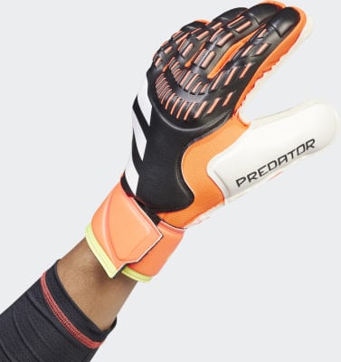 adidas Predator Match Torwarthandschuhe