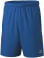 Team Shorts