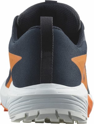 Salomon Sense Ride 5 GTX trailové běžecké boty