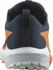 Salomon Sense Ride 5 GTX trailové běžecké boty
