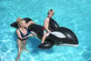 Bestway Whale Ride - On Aufblast. Wal