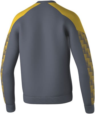 Graues Sweatshirt mit gelben Raglanärmeln und Muster am Unterarm. Graues Sweatshirt mit gelben Raglanärmeln und Muster am Unterarm.