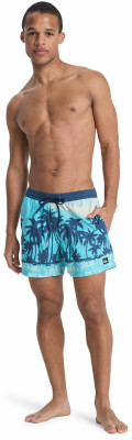Quiksilver Everyday Badeshorts